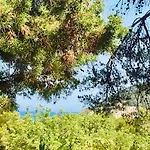 Casa Ribas Santa Eularia des Riu
