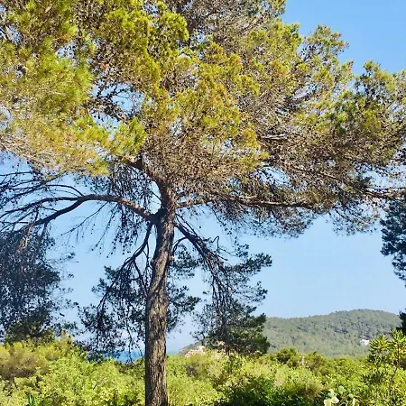 Casa Ribas 아파트