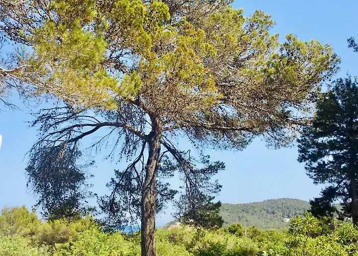 Casa Ribas Διαμέρισμα