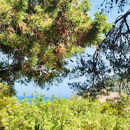 Casa Ribas Santa Eulária des Riu