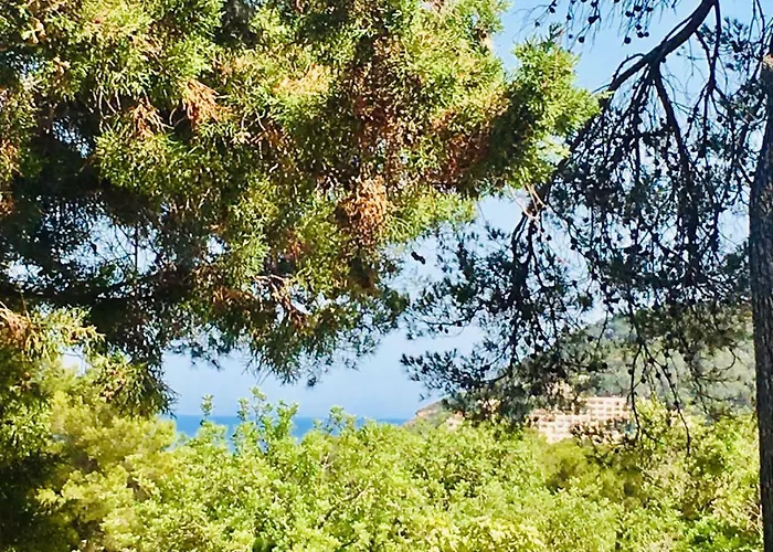 Casa Ribas Santa Eularia des Riu